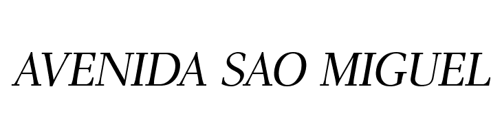 AntPoltLt-Italic  Free Fonts Download