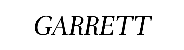 AntPoltLt-Italic  Free Fonts Download