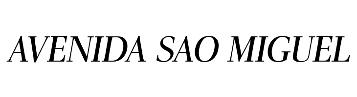 AntPoltSemiCond-Italic  Free Fonts Download