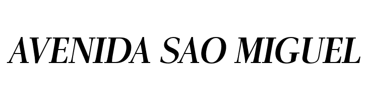 AntPoltLtSemiCond-BoldItalic  Free Fonts Download