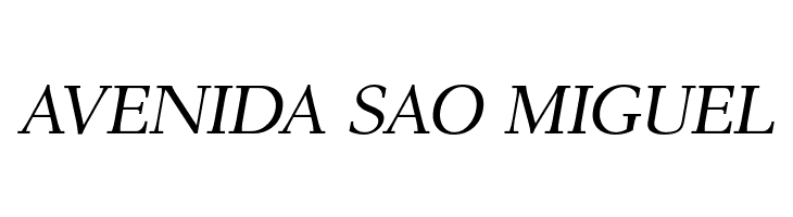 AntPoltLtSemiExpd-Italic  Free Fonts Download