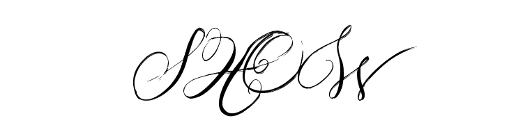 Jellyka Western Princess  Free Fonts Download