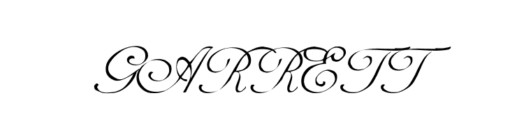 AdineKirnberg-Script  Free Fonts Download