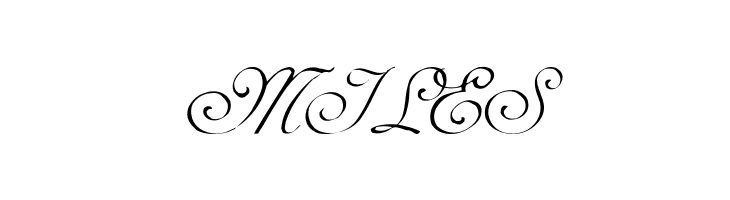 AdineKirnberg-Script  Free Fonts Download