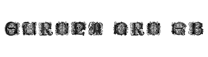PaulusFranckInitialen  Free Fonts Download
