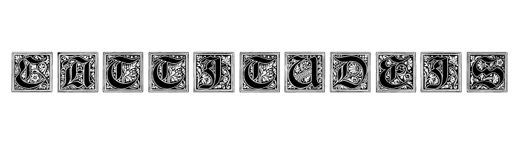 NeugotischeInitialen  Free Fonts Download