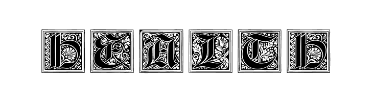 NeugotischeInitialen  Free Fonts Download
