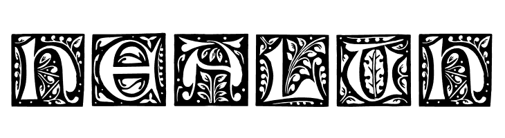 GotischeInitialen  Free Fonts Download