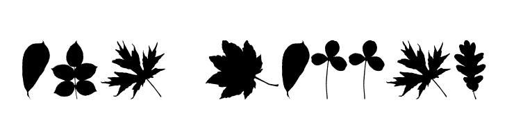 JI Nature Bats  Free Fonts Download