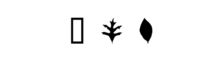 JI Nature Bats  Free Fonts Download