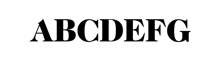 CaslonTwoBlackSSK  Free Fonts Download