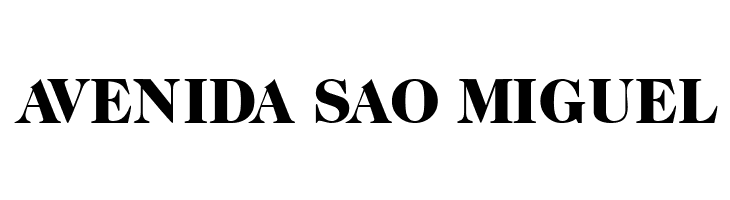 CaslonTwoBlackSSK  Free Fonts Download