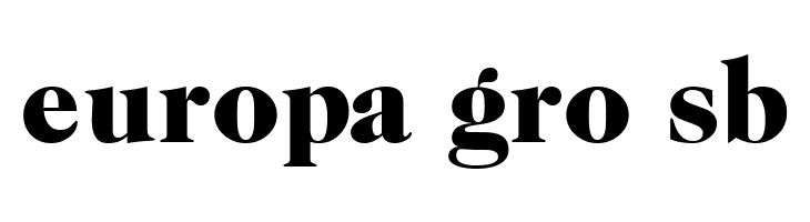 CaslonTwoBlackSSK  Free Fonts Download