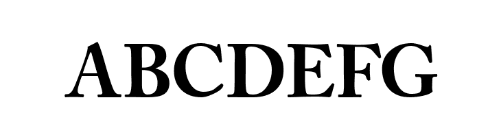 CaslonBlackSSK  Free Fonts Download