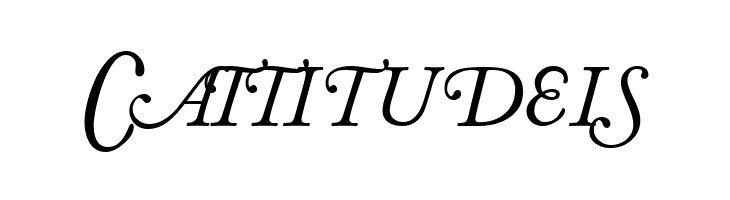 CaslonSwashSCapsSSK Italic  Free Fonts Download