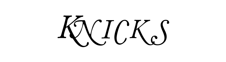 CaslonSwashSCapsSSK Italic  Free Fonts Download