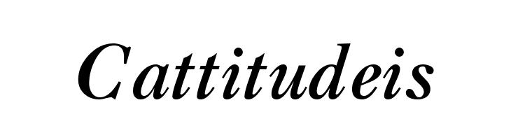 CaslonThreeSSK Italic  Free Fonts Download