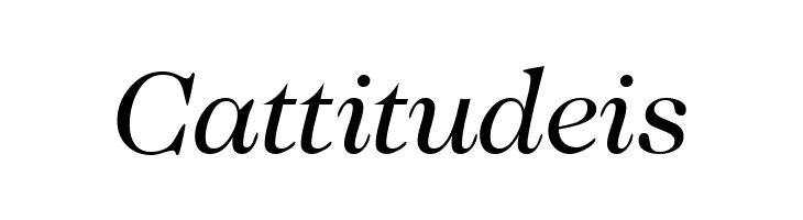 CaslonTwoSSK Italic  Free Fonts Download