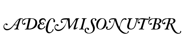 CaslonSwashCapsSSK BoldItalic  Free Fonts Download