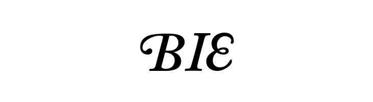 CaslonSwashCapsSSK BoldItalic  Free Fonts Download