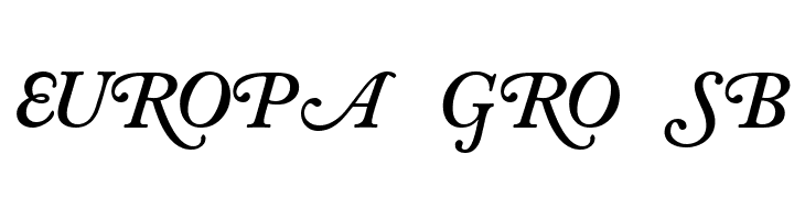 CaslonSwashCapsSSK BoldItalic  Free Fonts Download