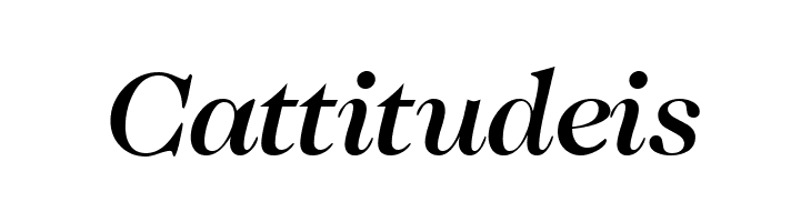 CaslonTwoMediumSSK Italic  Free Fonts Download