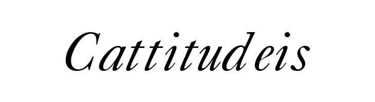 CaslonFiveSSK Italic  Free Fonts Download