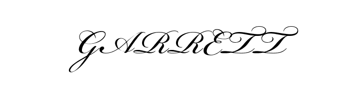 Bickham Script MM  Free Fonts Download