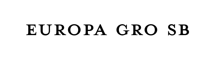MrsEavesPetiteCaps  Free Fonts Download