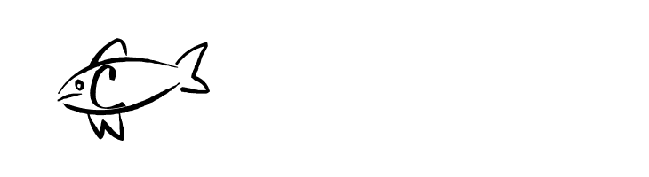 AEZ swim away  Free Fonts Download