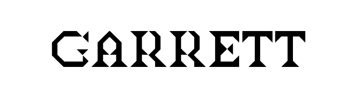 BDTimesNewDigital-Bold  Free Fonts Download