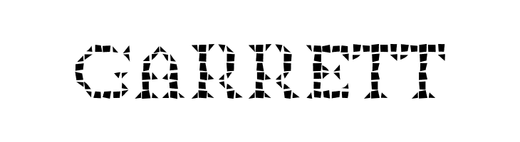 BDTimesNewDigitalBad  Free Fonts Download