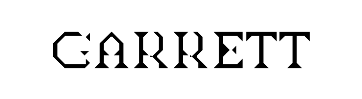 BDTimesNewDigital  Free Fonts Download