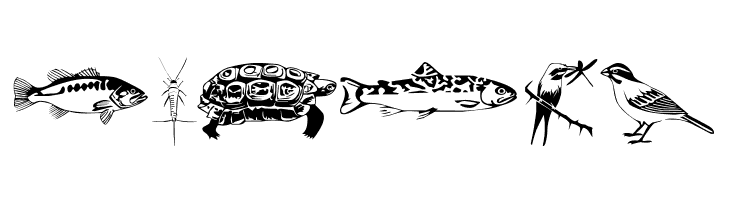 Afrika Safari F Gogga  Free Fonts Download