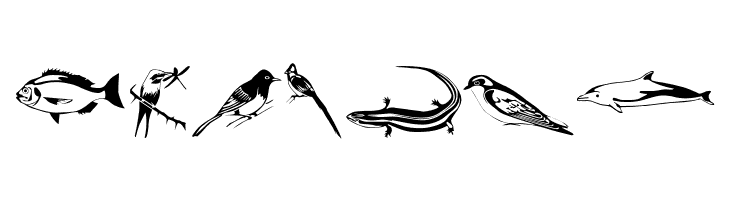 Afrika Safari F Gogga  Free Fonts Download