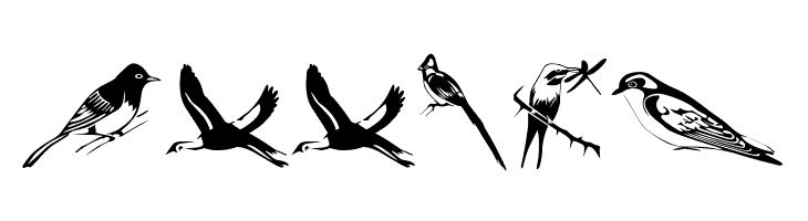 Afrika Safari F Gogga  Free Fonts Download