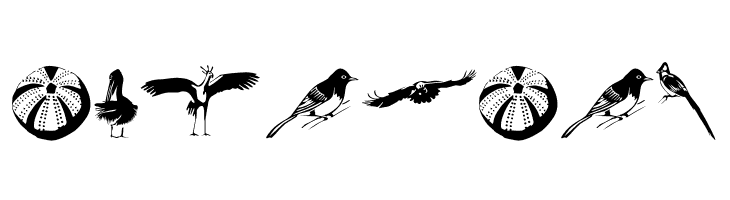 Afrika Safari F Gogga  Free Fonts Download