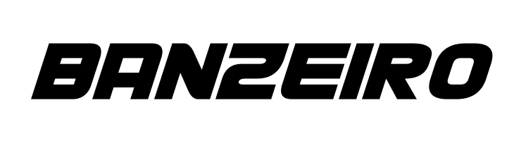 D3 Cozmism Oblique  Free Fonts Download