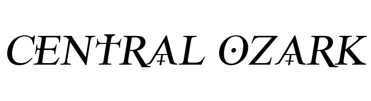 Denial2RegularItalics  Free Fonts Download