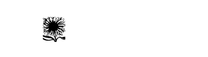 AEZsunflowers  Free Fonts Download