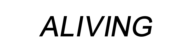 ER Univers 866 Italic  Free Fonts Download