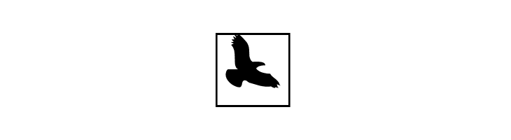 BirdsInHeaven  Free Fonts Download