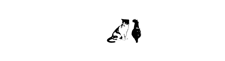 DJ Cats  Free Fonts Download