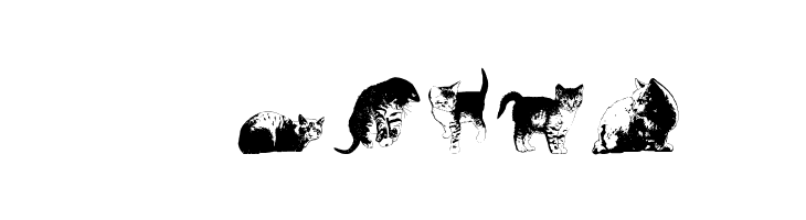 DJ Cats  Free Fonts Download