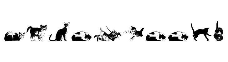 DJ Cats  Free Fonts Download