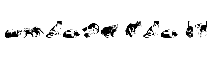 DJ Cats  Free Fonts Download