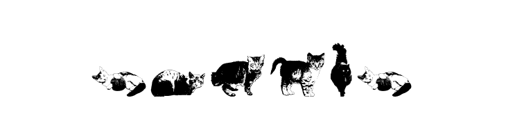 DJ Cats  Free Fonts Download