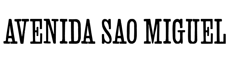 SlabSerifHPLHS  Free Fonts Download