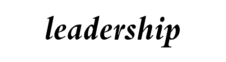 BergamoStd-BoldItalic  Free Fonts Download