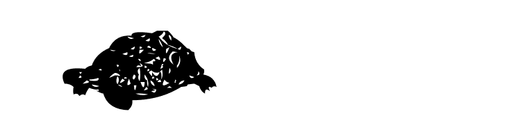 AEZ another turtle font  Free Fonts Download